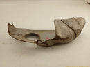 Ford Flex Driver Left Exhaust Manifold Heat Shield-8