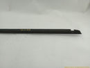 Tesla Model S Front Left Door Seal-5
