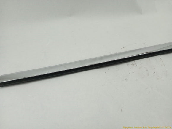 Tesla Model S Front Left Door Seal