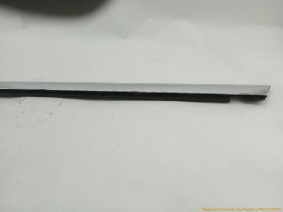 Tesla Model S Front Left Door Seal
