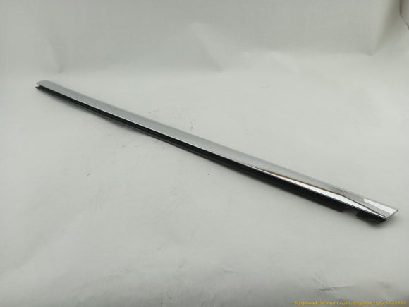 Tesla Model S Front Left Door Seal