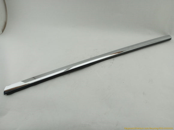 Tesla Model S Front Left Door Seal
