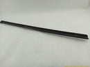 Tesla Model S Front Left Door Seal-12