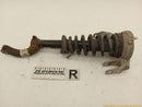 Cadillac CTS Passenger Right Front Strut-1