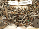 Cadillac CTS Dismantling Hardware Fasteners Bolts & Nuts-2