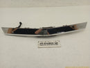 Cadillac CTS Trunk License Plate Light & Handle Trim-1
