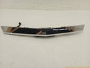 Cadillac CTS Trunk License Plate Light & Handle Trim-2