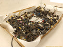 Cadillac CTS Vehicle Wiring Pigtails-12