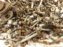 Cadillac CTS Dismantling Hardware Fasteners Bolts & Nuts-8