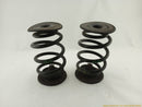 BMW Z3 Pair Of Rear Coil Springs-2