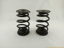 BMW Z3 Pair Of Rear Coil Springs-4