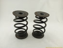 BMW Z3 Pair Of Rear Coil Springs-7