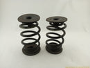 BMW Z3 Pair Of Rear Coil Springs-8