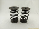 BMW Z3 Pair Of Rear Coil Springs-11