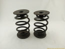 BMW Z3 Pair Of Rear Coil Springs-12