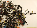 Chrysler Crossfire Vehicle Wiring Pigtails-5