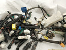 Lexus IS300 Vehicle Wiring Pigtails-4