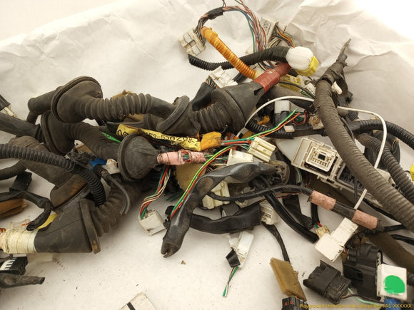 Lexus IS300 Vehicle Wiring Pigtails