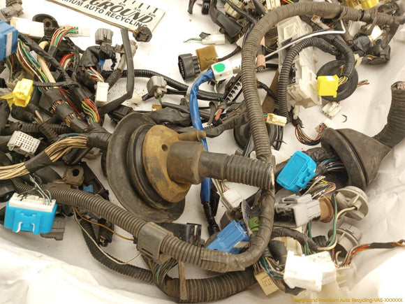Lexus IS300 Vehicle Wiring Pigtails
