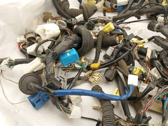 Lexus IS300 Vehicle Wiring Pigtails
