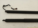 Alfa Romeo Stelvio Pair Of Power Liftgate Support Struts-9
