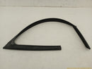 Alfa Romeo Stelvio Driver Left Front Door Seal Weatherstrip-7