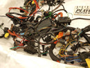 BMW Z3 Vehicle Wiring Pigtails-2