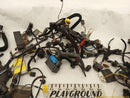 BMW 323i Vehicle Wiring Pigtails-5