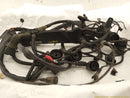 BMW Z3 Engine Wiring Harness-7
