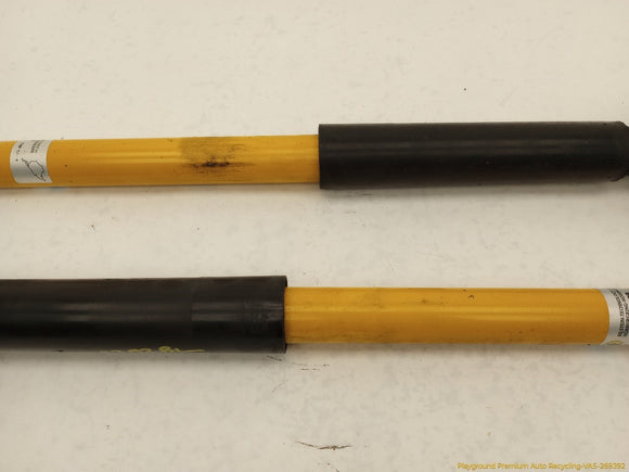 Mazda Speed3 Pair Of Rear Shock Absorbers