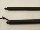Porsche Cayenne Pair Of Tailgate Hatch Lift Support Struts-3