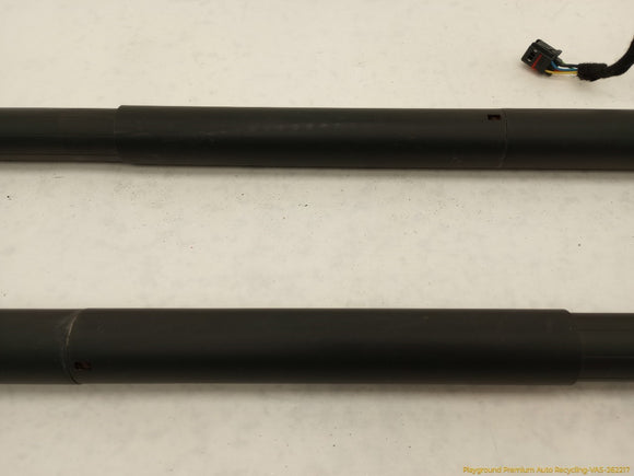 Porsche Cayenne Pair Of Tailgate Hatch Lift Support Struts