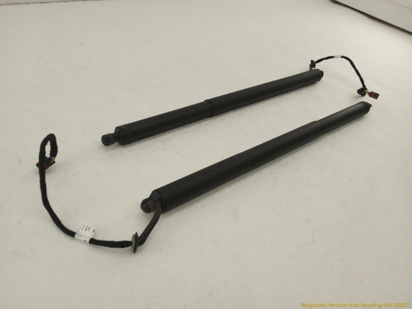 Porsche Cayenne Pair Of Tailgate Hatch Lift Support Struts