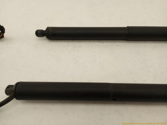 Porsche Cayenne Pair Of Tailgate Hatch Lift Support Struts