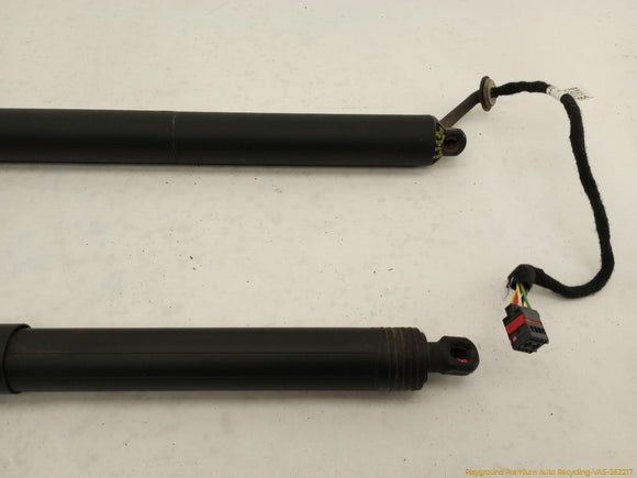 Porsche Cayenne Pair Of Tailgate Hatch Lift Support Struts