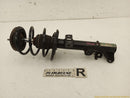 Mercedes SLK350 Passenger Right Front Strut-1