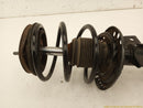 Mercedes SLK350 Passenger Right Front Strut-2
