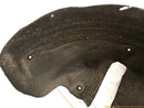 Mercedes SLK350 Passenger Right Rear Inner Fender Liner-3