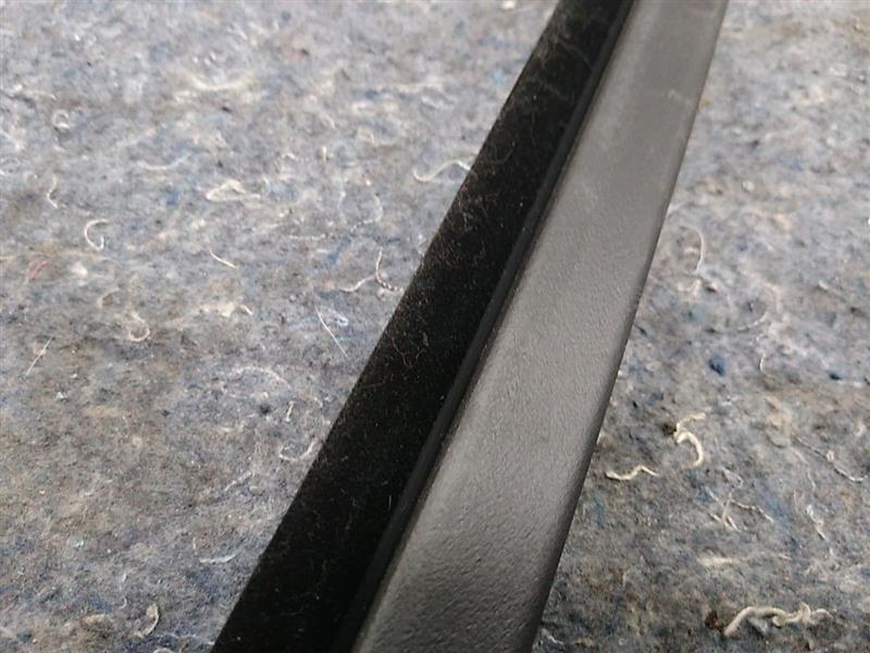 BMW 328I Front Right Window Weather Strip Seal