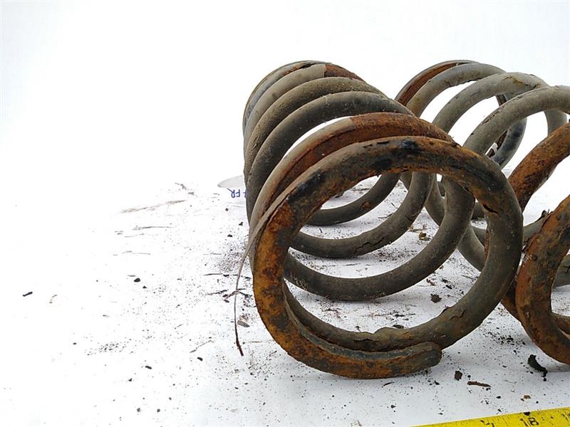 Jaguar XJS Front Coil Springs (Pair)