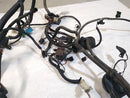 Jaguar XK8 Engine Management Harness-6