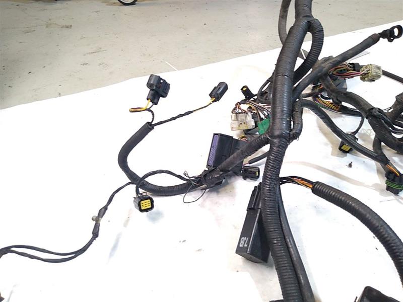 Jaguar XK8 Engine Management Harness