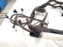 Jaguar XK8 Engine Management Harness-2
