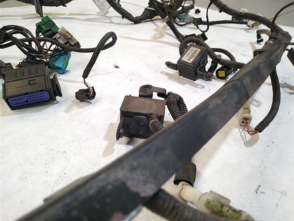 Jaguar XK8 Engine Management Harness