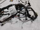 Jaguar XKR Front Wire Harness w/ Adaptive Dampening-6