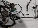 Jaguar XKR Front Wire Harness w/ Adaptive Dampening-7