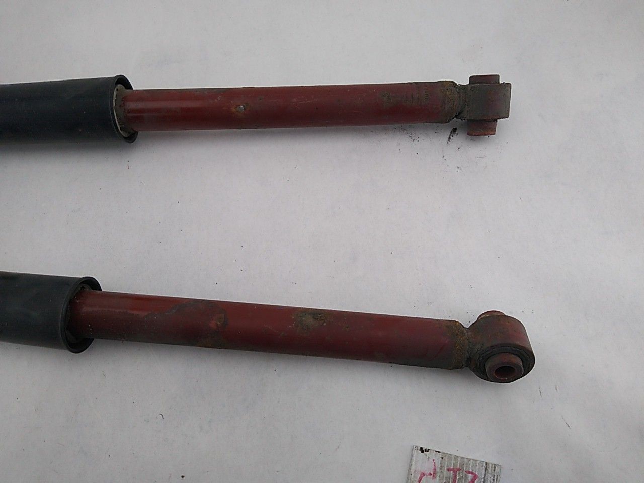 Audi A4 Set of Two Back Struts