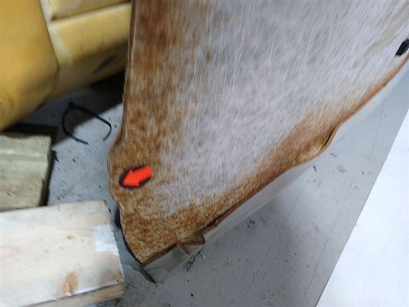 Jaguar XKR Headliner with Light