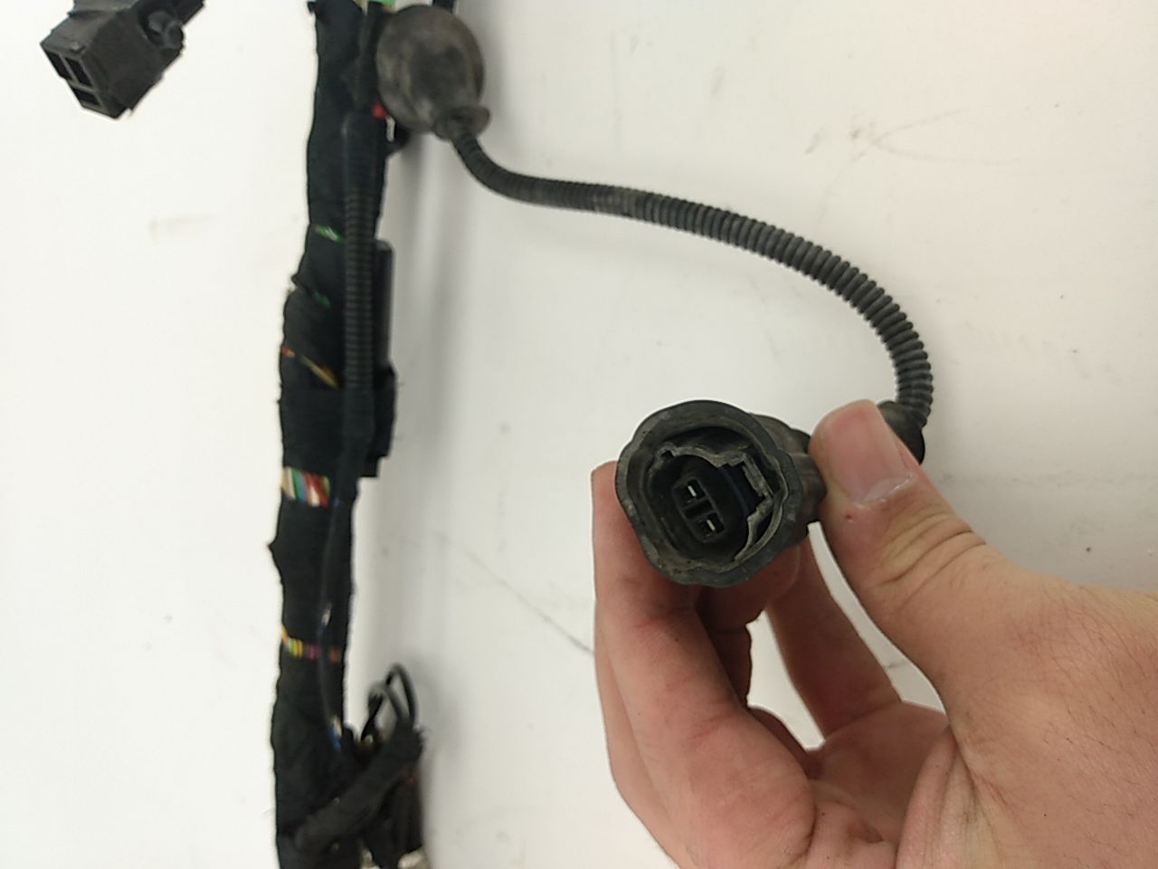 Jaguar XK8 Rear Trunk Body Wire Harness