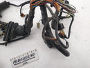 Jaguar XK8 Engine Bay Wire Harness-4